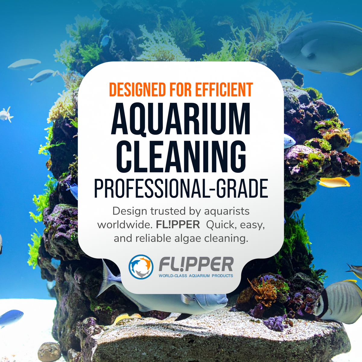 Flipper Pico Black 2-in-1 Aquarium Magnet Cleaner