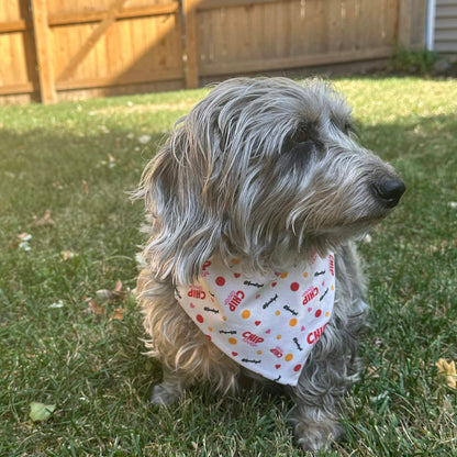 Tie-on Dog Bandana | Adjustable String-tie Bandana for Dogs and Cats
