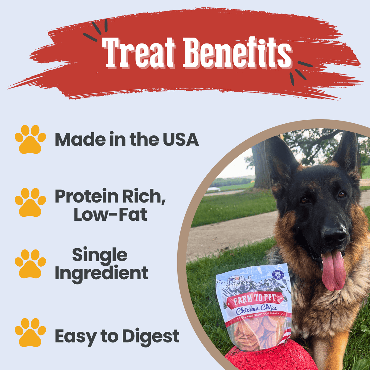 Americana Chicken Chips for Dogs | Celebrate with USA-made Dog Treats