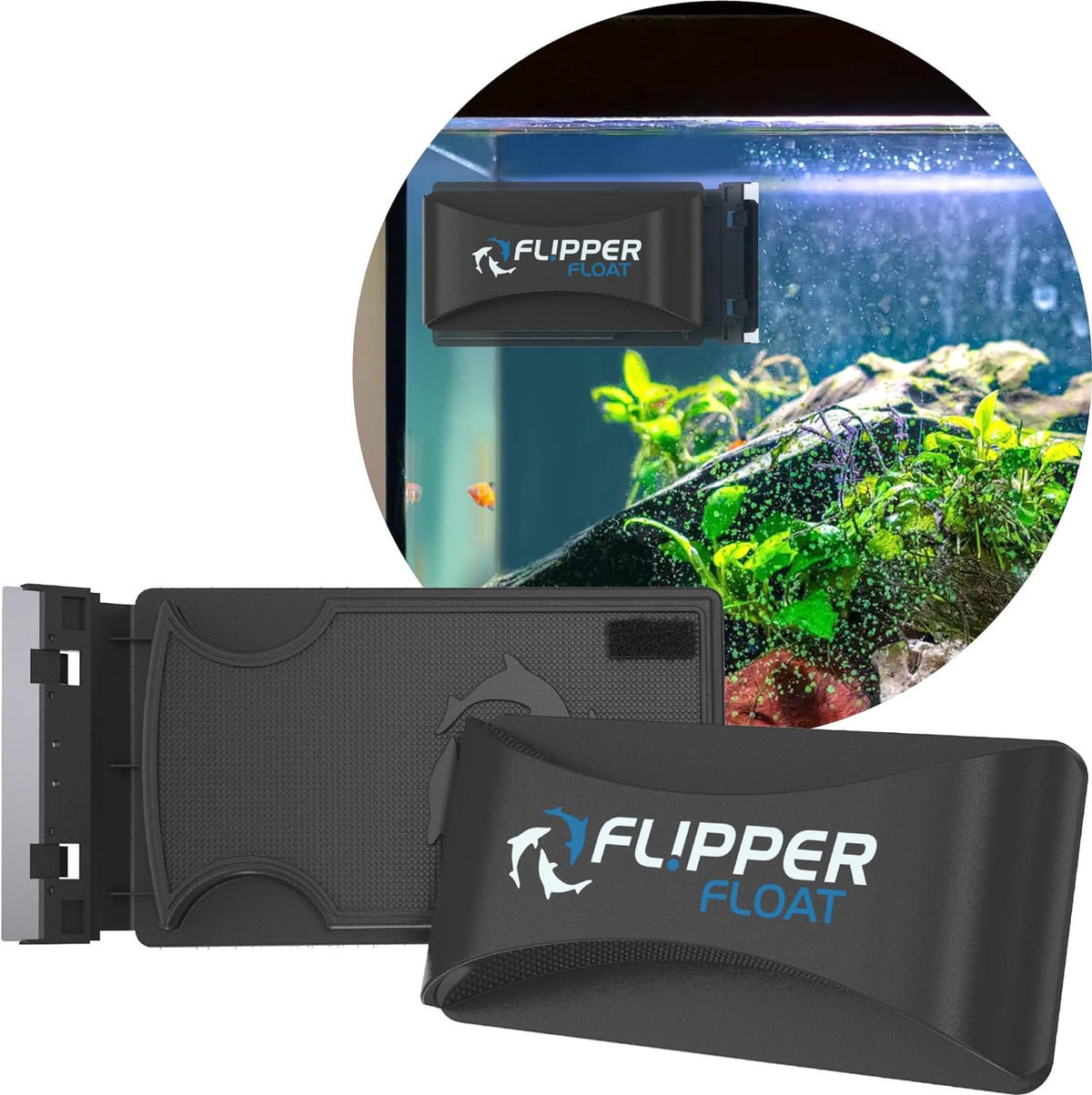 Flipper x Cichlid Bros Bundle
